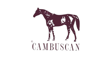 cambuscan.com